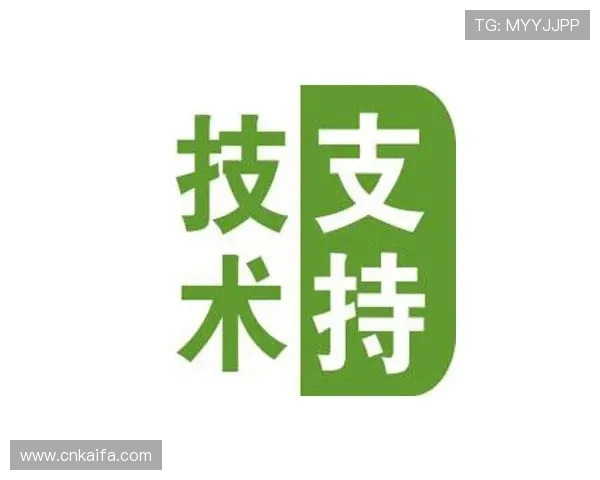 揭秘凯发电竞背后的技术支持与团队运作